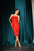 Vestido Las Rosas